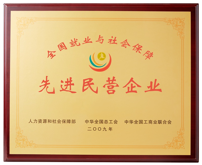 全國就業(yè)與社會保障先進民營企業(yè)（2009）